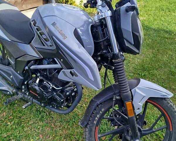 Мустанг MT 250 Region, объемом двигателя 0 л и пробегом 2 тыс. км за 1150 $, фото 9 на Automoto.ua