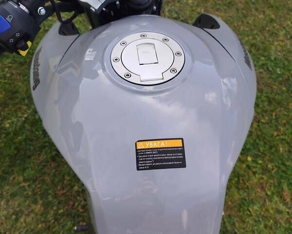 Мустанг MT 250 Region, объемом двигателя 0 л и пробегом 2 тыс. км за 1150 $, фото 2 на Automoto.ua