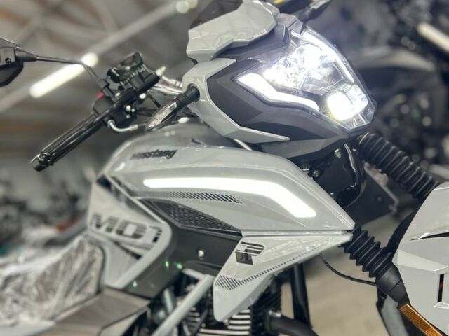 Мустанг Region, объемом двигателя 0.2 л и пробегом 0 тыс. км за 1149 $, фото 8 на Automoto.ua