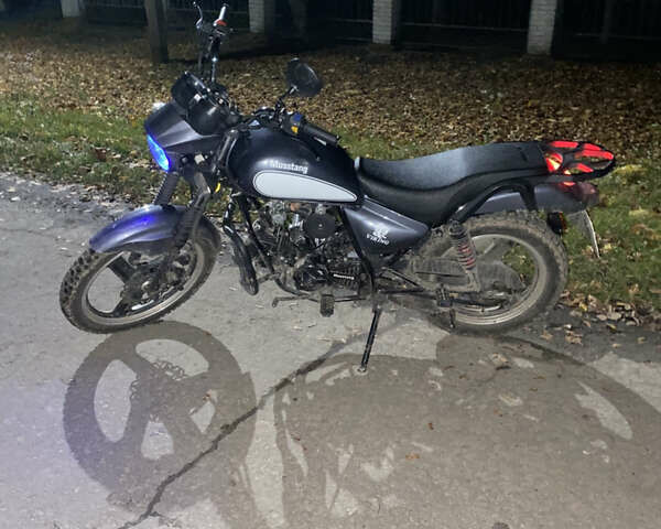 Серый Мустанг Viking, объемом двигателя 0 л и пробегом 8 тыс. км за 593 $, фото 10 на Automoto.ua