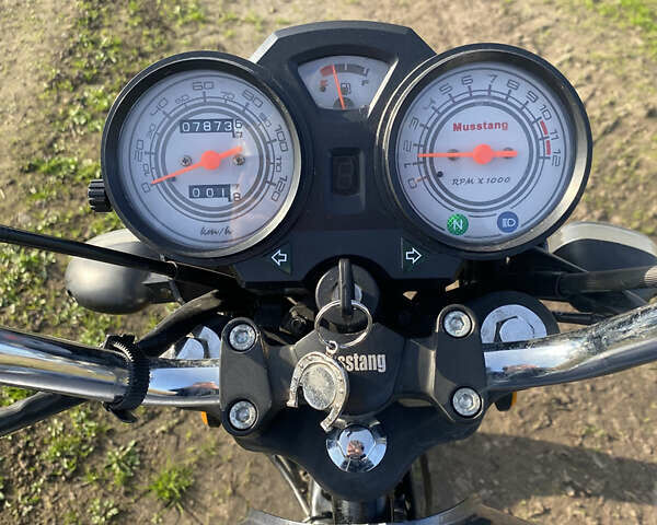 Серый Мустанг Viking, объемом двигателя 0 л и пробегом 8 тыс. км за 593 $, фото 8 на Automoto.ua