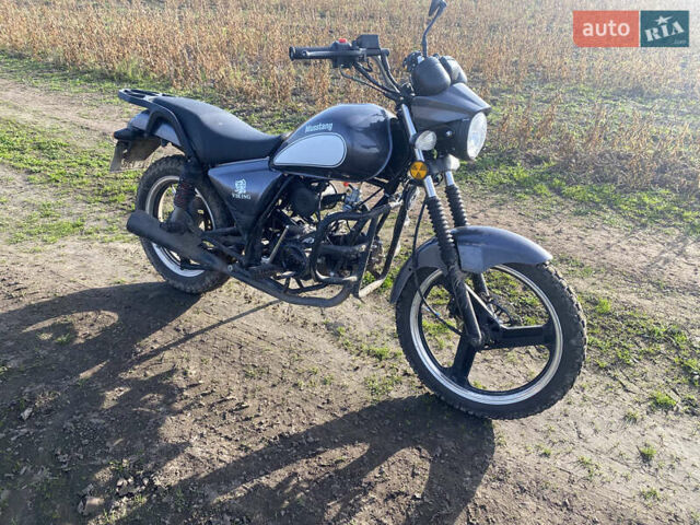 Серый Мустанг Viking, объемом двигателя 0 л и пробегом 8 тыс. км за 593 $, фото 4 на Automoto.ua