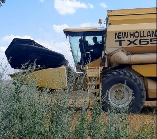 Нью Холланд Другая, объемом двигателя 0 л и пробегом 4 тыс. км за 23000 $, фото 2 на Automoto.ua