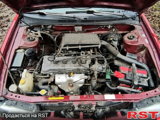 Красный Ниссан Альмера, объемом двигателя 1.4 л и пробегом 174 тыс. км за 2300 $, фото 10 на Automoto.ua