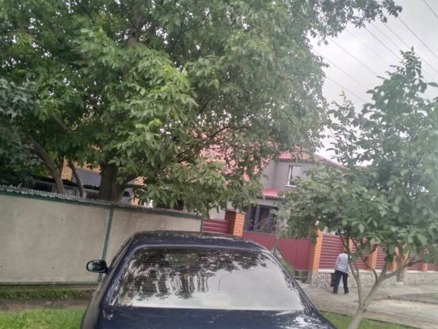 Синий Ниссан Альмера, объемом двигателя 0 л и пробегом 250 тыс. км за 3300 $, фото 2 на Automoto.ua