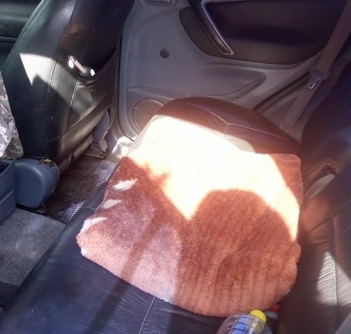 Черный Ниссан Другая, объемом двигателя 2 л и пробегом 2 тыс. км за 3957 $, фото 4 на Automoto.ua