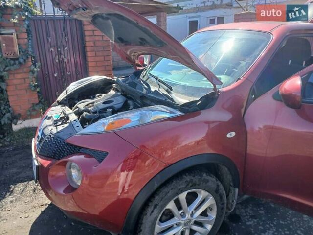 Красный Ниссан Жук, объемом двигателя 1.62 л и пробегом 170 тыс. км за 8999 $, фото 1 на Automoto.ua
