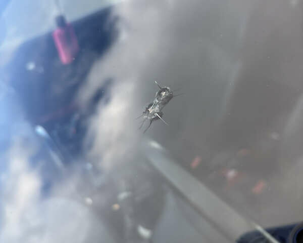 Красный Ниссан Жук, объемом двигателя 1.5 л и пробегом 199 тыс. км за 9800 $, фото 19 на Automoto.ua