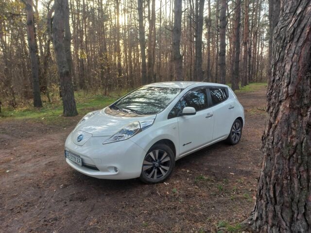 Білий Ніссан Ліф, об'ємом двигуна 0 л та пробігом 199 тис. км за 6200 $, фото 6 на Automoto.ua