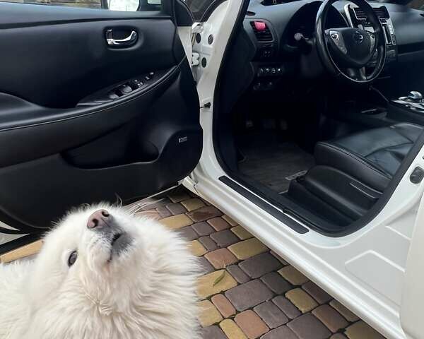 Білий Ніссан Ліф, об'ємом двигуна 0 л та пробігом 89 тис. км за 9500 $, фото 6 на Automoto.ua