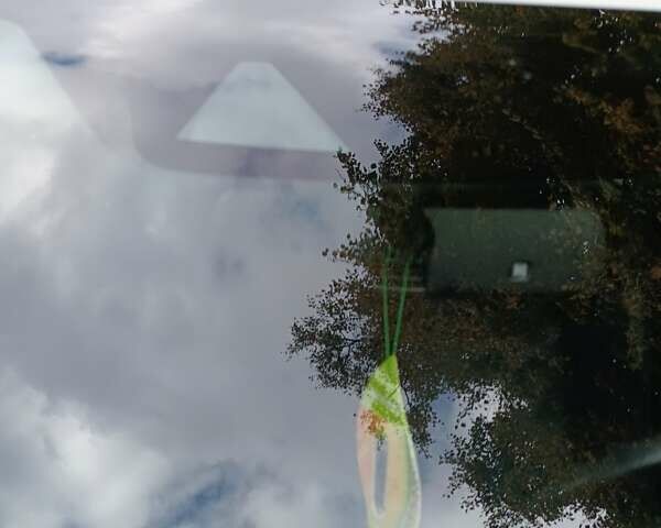 Белый Ниссан Лиф, объемом двигателя 0 л и пробегом 76 тыс. км за 13800 $, фото 15 на Automoto.ua