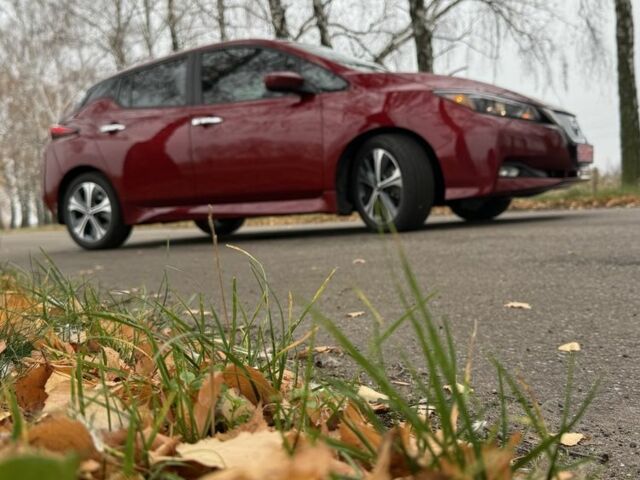 Красный Ниссан Лиф, объемом двигателя 4 л и пробегом 29 тыс. км за 12300 $, фото 23 на Automoto.ua