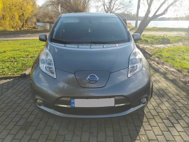 Серый Ниссан Лиф, объемом двигателя 3 л и пробегом 169 тыс. км за 6950 $, фото 4 на Automoto.ua