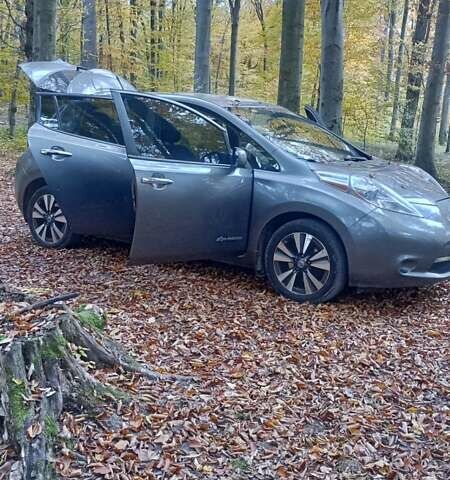 Серый Ниссан Лиф, объемом двигателя 0 л и пробегом 157 тыс. км за 7850 $, фото 31 на Automoto.ua