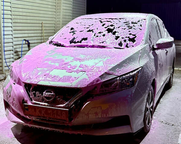 Сірий Ніссан Ліф, об'ємом двигуна 0 л та пробігом 66 тис. км за 16999 $, фото 18 на Automoto.ua