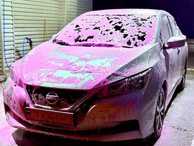 Сірий Ніссан Ліф, об'ємом двигуна 0.11 л та пробігом 66 тис. км за 16999 $, фото 1 на Automoto.ua