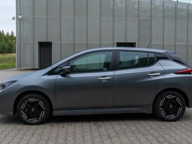 Серый Ниссан Лиф, объемом двигателя 0 л и пробегом 20 тыс. км за 8000 $, фото 1 на Automoto.ua