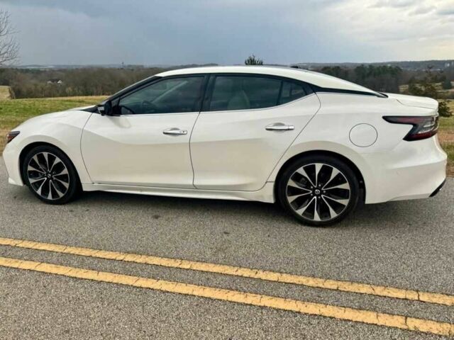 Білий Ніссан Максіма, об'ємом двигуна 3.5 л та пробігом 9 тис. км за 8100 $, фото 7 на Automoto.ua