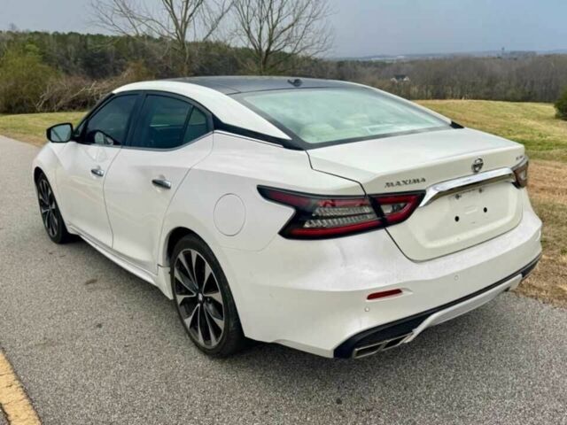 Білий Ніссан Максіма, об'ємом двигуна 3.5 л та пробігом 9 тис. км за 8100 $, фото 6 на Automoto.ua