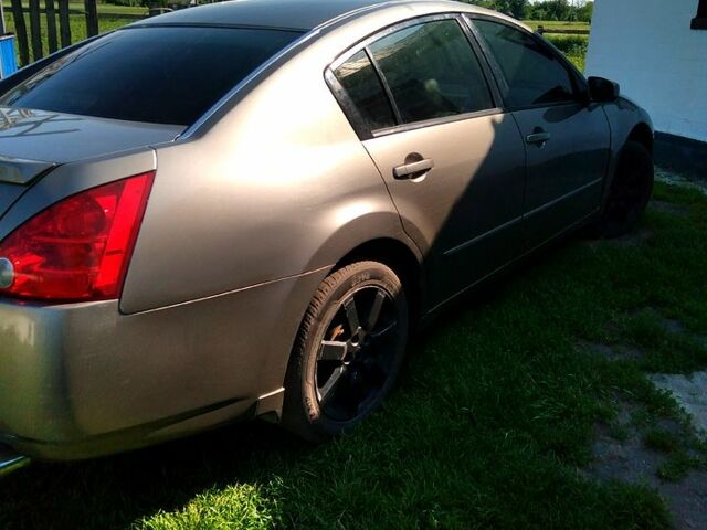 Бежевый Ниссан Максима, объемом двигателя 3.5 л и пробегом 342 тыс. км за 5000 $, фото 1 на Automoto.ua