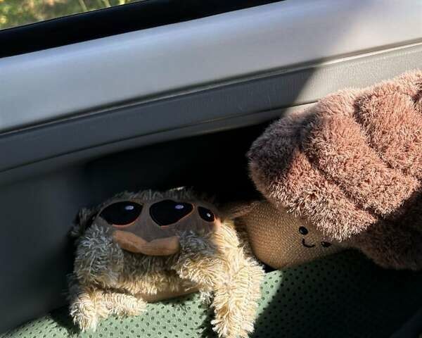 Белый Ниссан Микра, объемом двигателя 1 л и пробегом 190 тыс. км за 5999 $, фото 6 на Automoto.ua