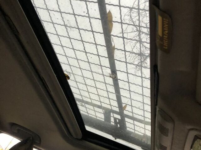 Ниссан Навара, объемом двигателя 2.5 л и пробегом 190 тыс. км за 5300 $, фото 23 на Automoto.ua