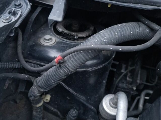 Чорний Ніссан Ноут, об'ємом двигуна 1.6 л та пробігом 226 тис. км за 6000 $, фото 17 на Automoto.ua