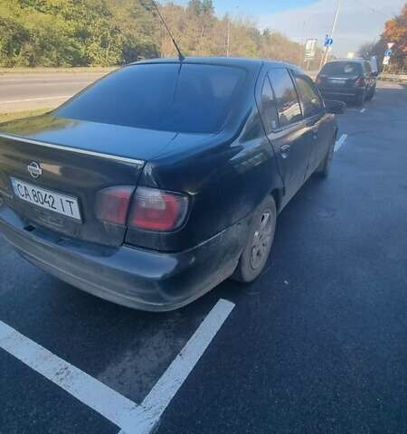 Ниссан Примера 2000 в Киеве на Automoto.ua Черный Ниссан Примера, объемом двигателя 1.8 л и пробегом 335 тыс. км за 1450 $, фото 10 на Automoto.ua