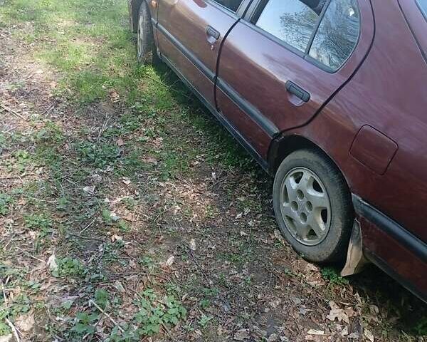 Красный Ниссан Примера, объемом двигателя 1.6 л и пробегом 300 тыс. км за 1500 $, фото 3 на Automoto.ua