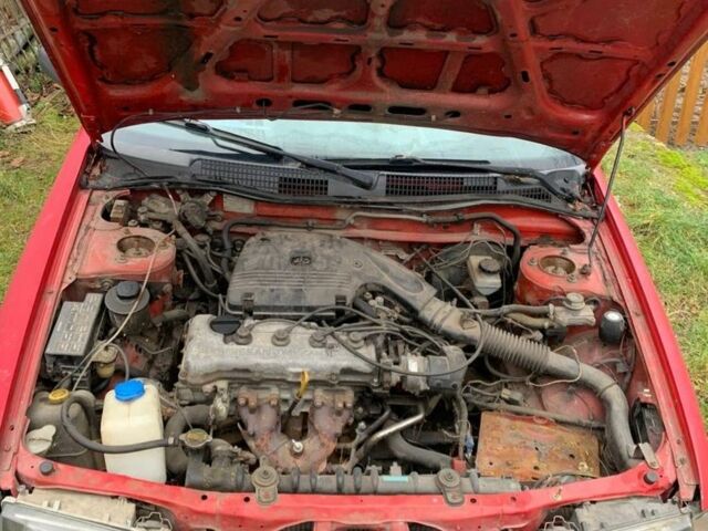 Красный Ниссан Примера, объемом двигателя 1.6 л и пробегом 3 тыс. км за 1200 $, фото 10 на Automoto.ua