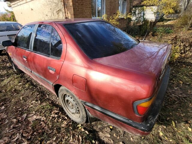 Красный Ниссан Примера, объемом двигателя 1.6 л и пробегом 200 тыс. км за 2000 $, фото 12 на Automoto.ua