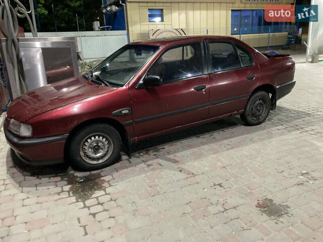 Красный Ниссан Примера, объемом двигателя 1.6 л и пробегом 300 тыс. км за 600 $, фото 1 на Automoto.ua