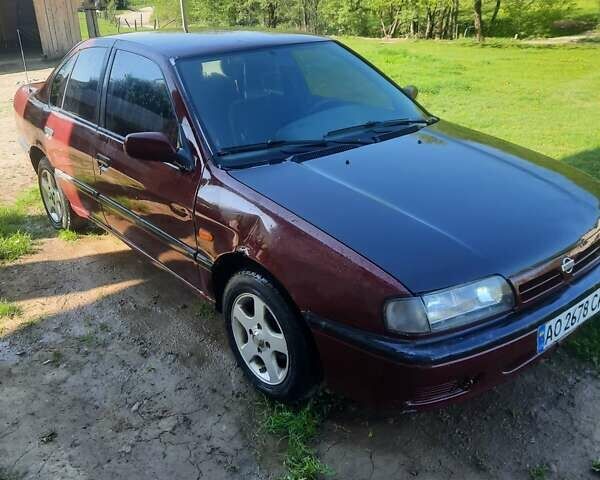 Красный Ниссан Примера, объемом двигателя 1.77 л и пробегом 522 тыс. км за 1600 $, фото 1 на Automoto.ua