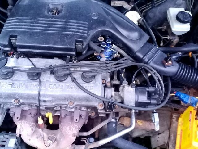 Ниссан Примера, объемом двигателя 1.6 л и пробегом 300 тыс. км за 850 $, фото 1 на Automoto.ua