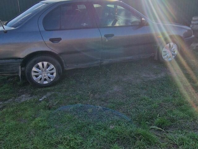 Серый Ниссан Примера, объемом двигателя 1.6 л и пробегом 300 тыс. км за 1500 $, фото 1 на Automoto.ua