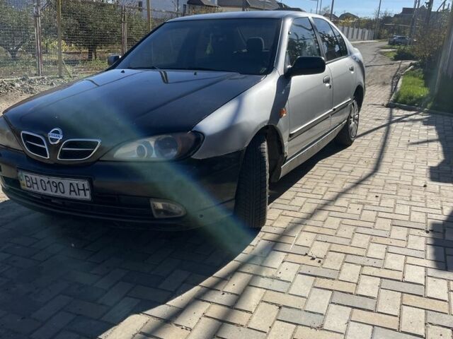 Серый Ниссан Примера, объемом двигателя 1.6 л и пробегом 3 тыс. км за 1400 $, фото 2 на Automoto.ua