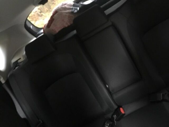 Серый Ниссан Кашкай, объемом двигателя 2 л и пробегом 250 тыс. км за 251 $, фото 1 на Automoto.ua