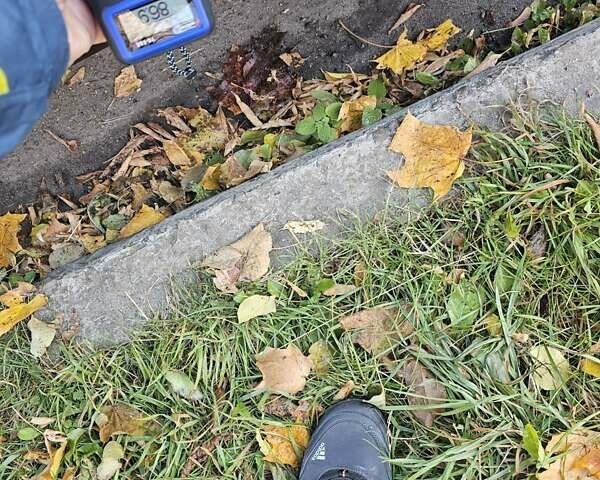 Серый Ниссан Кашкай, объемом двигателя 1.6 л и пробегом 239 тыс. км за 13999 $, фото 46 на Automoto.ua