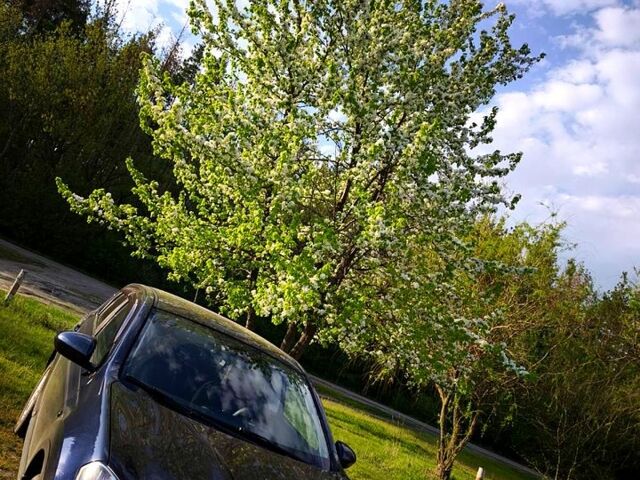 Синий Ниссан Кашкай, объемом двигателя 2 л и пробегом 211 тыс. км за 8400 $, фото 3 на Automoto.ua