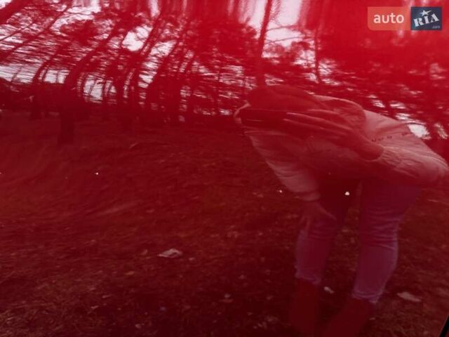Красный Ниссан Rogue, объемом двигателя 2.49 л и пробегом 61 тыс. км за 16500 $, фото 13 на Automoto.ua