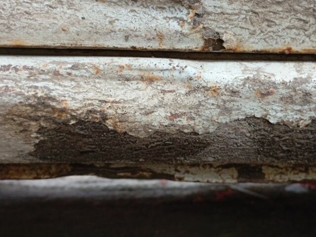 Білий Ніссан Санні, об'ємом двигуна 1 л та пробігом 270 тис. км за 350 $, фото 14 на Automoto.ua