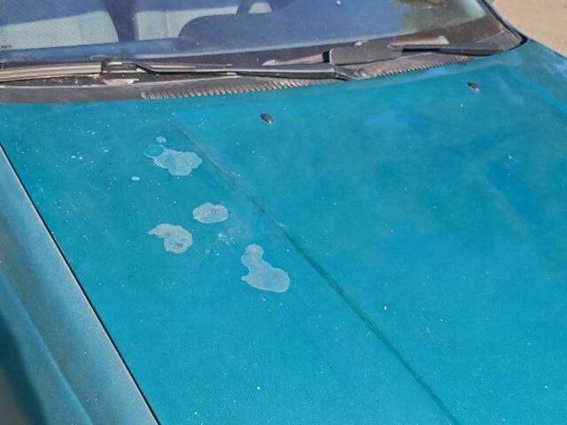 Зеленый Ниссан Санни, объемом двигателя 1.6 л и пробегом 226 тыс. км за 1100 $, фото 17 на Automoto.ua