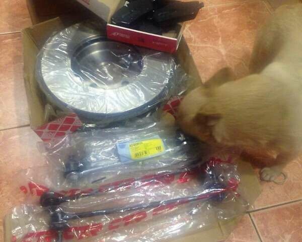 Бежевый Ниссан ИксТрейл, объемом двигателя 2 л и пробегом 293 тыс. км за 7999 $, фото 28 на Automoto.ua