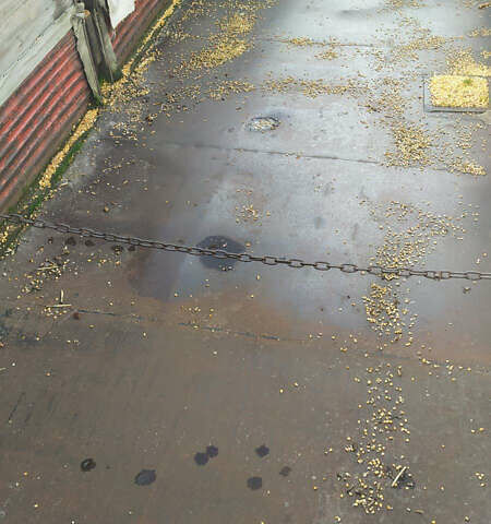 ОДАЗ ОДАЗ, объемом двигателя 0 л и пробегом 0 тыс. км за 2500 $, фото 5 на Automoto.ua