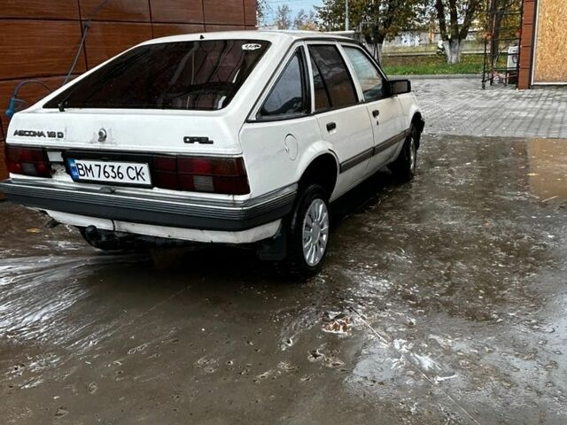 Білий Опель Аскона, об'ємом двигуна 1.6 л та пробігом 90 тис. км за 699 $, фото 19 на Automoto.ua