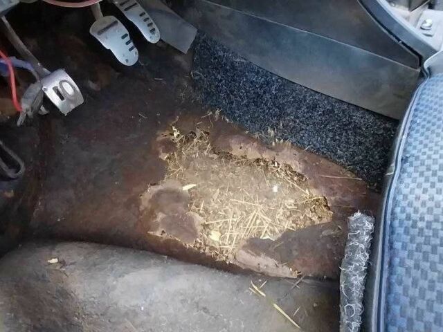 Красный Опель Аскона, объемом двигателя 1.8 л и пробегом 3 тыс. км за 238 $, фото 1 на Automoto.ua