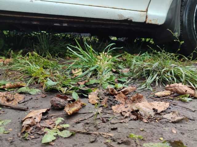 Опель Астра 1995 в Корсунь-Шевченковском на Automoto.ua Белый Опель Астра, объемом двигателя 1.4 л и пробегом 312 тыс. км за 1100 $, фото 18 на Automoto.ua