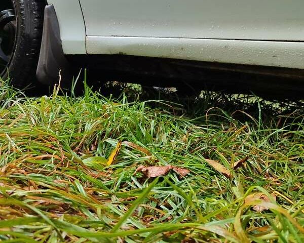 Белый Опель Астра, объемом двигателя 1.4 л и пробегом 312 тыс. км за 1100 $, фото 14 на Automoto.ua