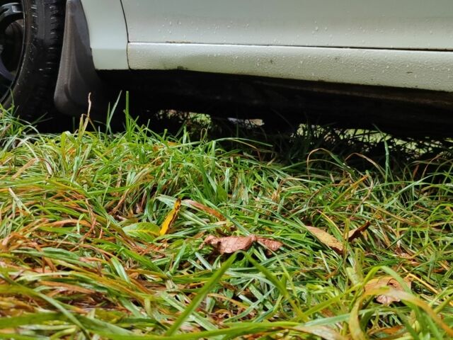 Опель Астра 1995 в Корсунь-Шевченковском на Automoto.ua Белый Опель Астра, объемом двигателя 1.4 л и пробегом 312 тыс. км за 1100 $, фото 16 на Automoto.ua