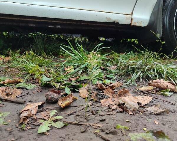 Белый Опель Астра, объемом двигателя 1.4 л и пробегом 312 тыс. км за 1100 $, фото 28 на Automoto.ua